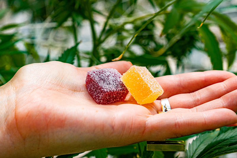 Hand holding a Defi Edibles gummy